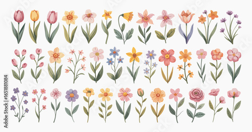 Watercolor Collection of Spring Flowers Tulips Daffodils and Roses floral botanical