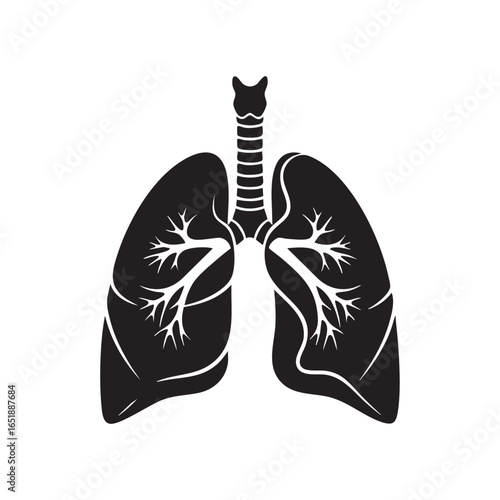 Detailed Lung Anatomy Illustration Respiratory System and Trachea Black Silhouette on White Background Medical and Scientific Visualization