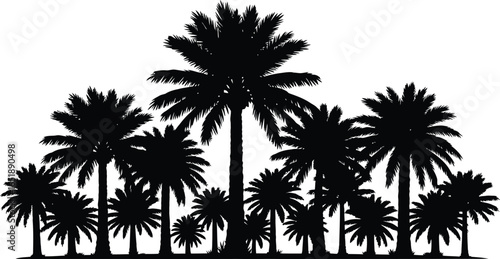 Palm trees silhouette, a tropical oasis with exotic foliage, perfect for summer vacation and travel designs, a natural landscape element for graphic art