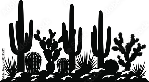 A cactus silhouette, a desert landscape with succulent plants, perfect for southwest garden designs, a natural element for graphic art and botany