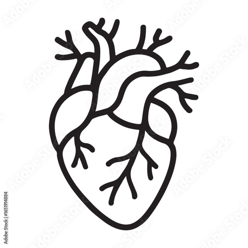 Black outline human heart with arteries and veins on white background anatomy medical