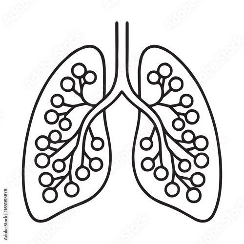 Black outline illustration of human lungs with bronchi and alveoli respiratory system anatomy