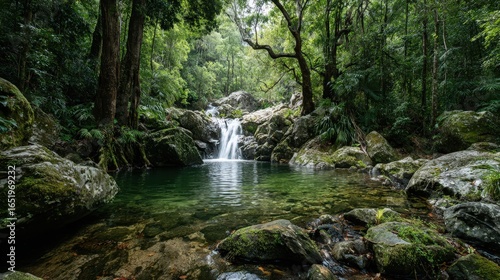 Jungle waterfall cascading over mossy rocks into a clear pool surrounded by dense tropical trees and lush vegetation