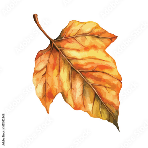 Golden Autumn Leaf with Prominent Veins and Textured Surface Detail