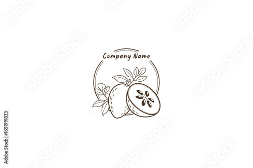 Sapodilla Logo on White Background
