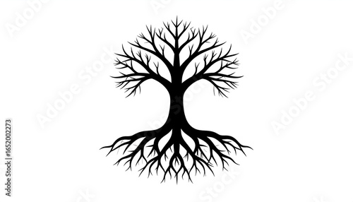 Black Silhouette Tree Displaying Roots and Branches on White Background