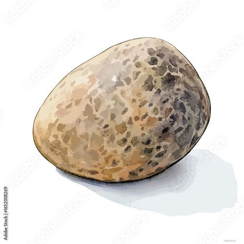 Smooth speckled stone with earthy tones casting a soft shadow