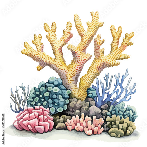Vibrant coral reef ecosystem featuring branching coral soft coral and diverse marine life