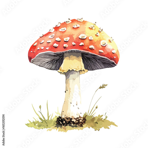 Vibrant Red Toadstool with White Spots and Delicate Grass