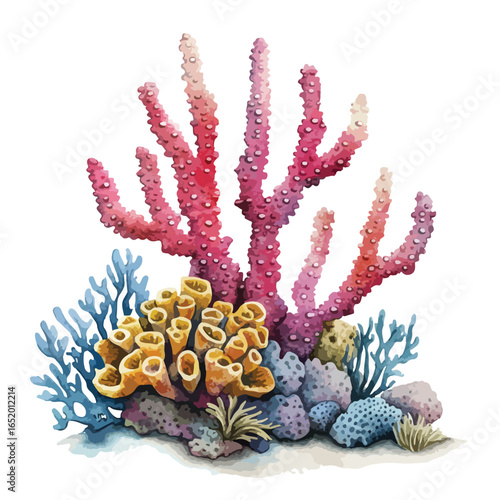 Vibrant Underwater Coral Reef Displaying Diverse Marine Life