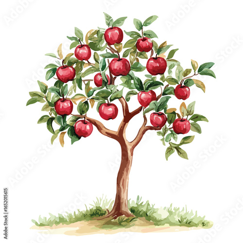 Watercolor Apple Tree Laden with Ripe Red Fruit and Green Foliage