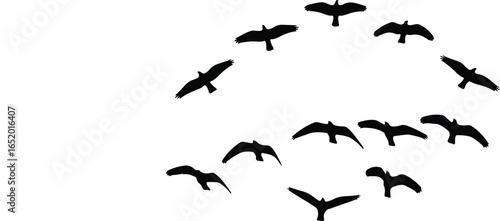Silhouette of birds flying in the sky, 
Silhouette of migrating birds flying together in sky in V formation. transparent effect, white background,

