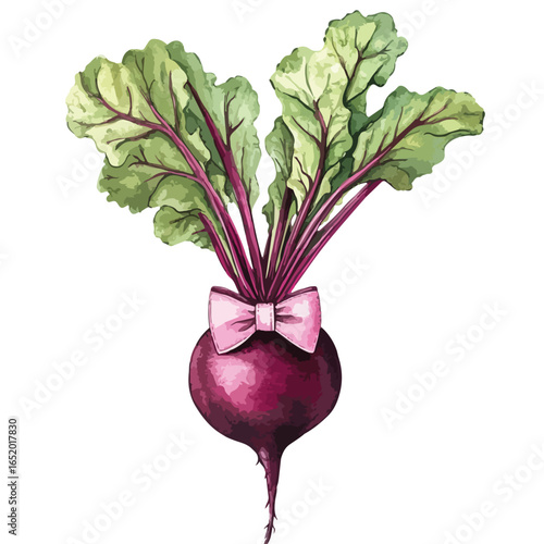 Watercolor Beetroot with Pink Bow Vibrant Green Leaves