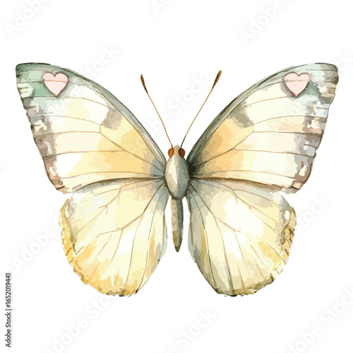 Watercolor Butterfly with HeartShaped Markings on Wing Tips