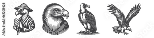 Vintage Hand-Drawn Monk Vulture Illustration, Landing Pose Engraved Vector for Wildlife Theme and T-Shirt Design