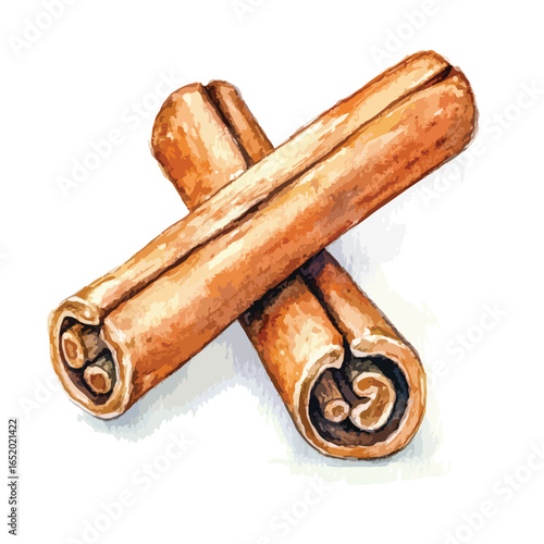 Watercolor Cinnamon Sticks Crossed Showing Rolled Texture and Warm Brown Tones