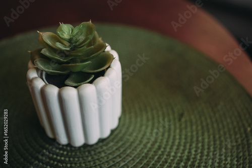 Succulent plant in white ceramic pot on green mat, cozy home interior, minimalist natural decor, ideal for living room, design, lifestyle, and indoor greenery backgrounds.