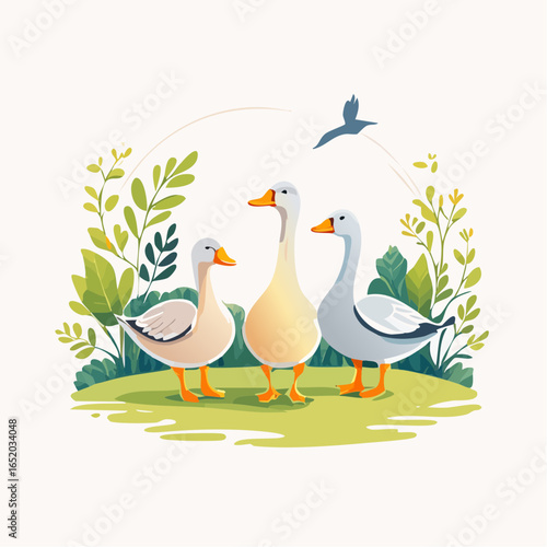 duck and ducklings