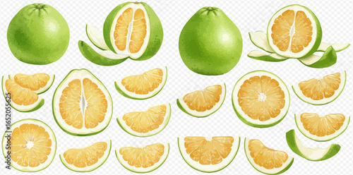 A collection of fresh green pomelo citrus fruits, shown whole, cut in half, and in various slices and wedges.