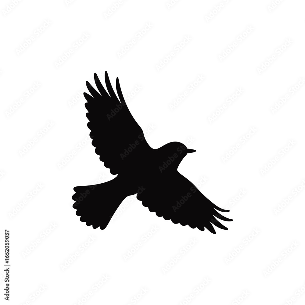 Fototapeta premium Elegant Bird Silhouette in Flight Isolated on White Background a Symbol of Freedom and Graceful Movement for Nature Lovers and Bird Enthusiasts