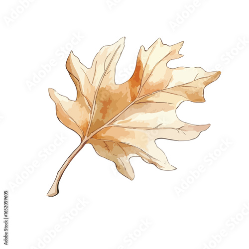 Watercolor Style Autumnal Oak Leaf with Delicate Veins and Warm Tones