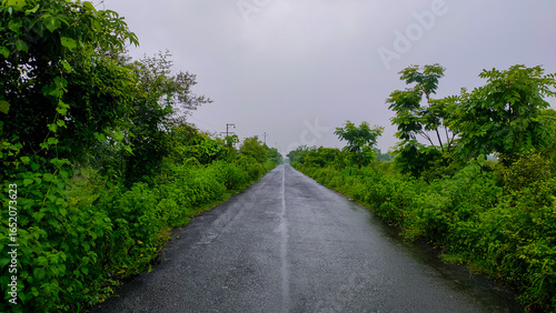 Bild auf Leinwand Peaceful countryside road in monsoon.