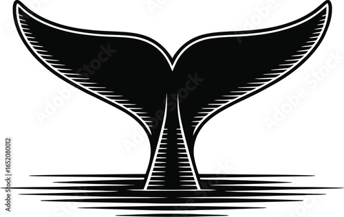 Whale tail illustration showcases a majestic marine animal, rendered in a striking black and white design, perfect for nautical themes, wildlife projects, or minimalist graphic designs.