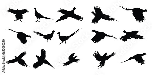 Set of pheasant bird silhouettes
