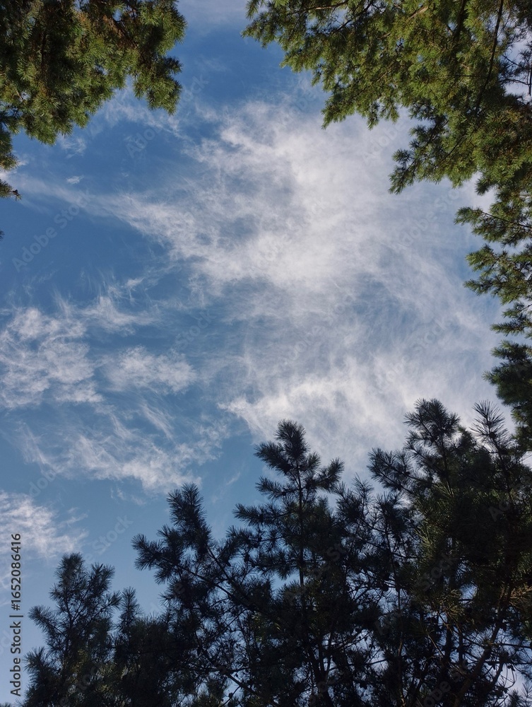 Fototapeta premium Blue Monaco