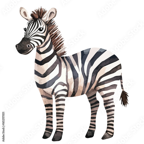 Watercolor Zebra with Brown Mane and Tail Standing in Profile