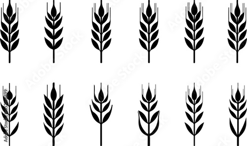 Wheat Silhouette Vector Collection