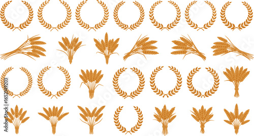 Wheat or barley ears. Harvest wheat grain, growth rice stalk and bread grains isolated vector set. Harvest wheat grain, growth rice stalk and whole bread grains. Agriculture. EPS version.