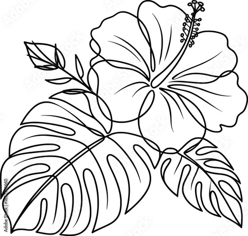 Minimalist Hibiscus Flower Line Art Drawing.