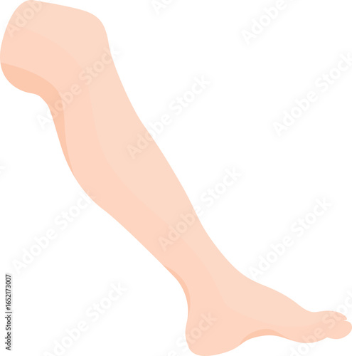 Feet
