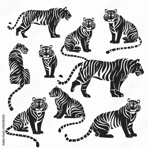 zebra vector illustration