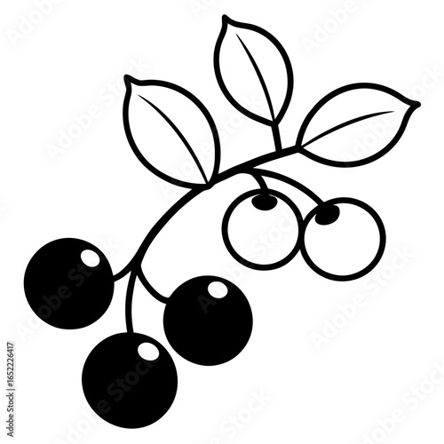 Frozen berries line art vector illustration