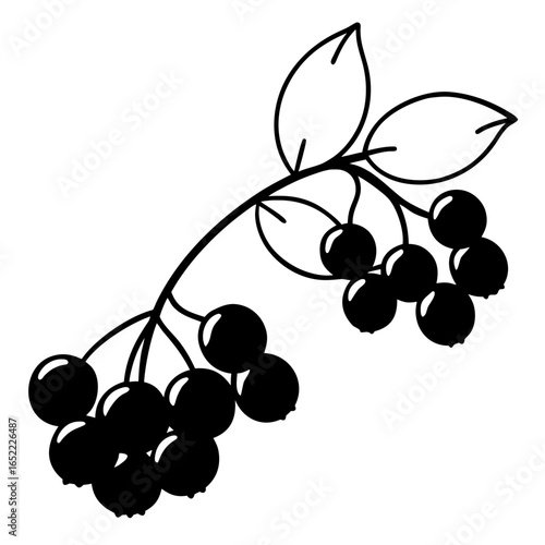 Frozen berries line art vector illustration