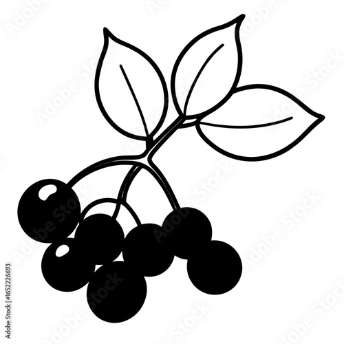 Frozen berries line art vector illustration
