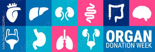 ​Organ Donation Week Geometric shape pattern background, banner, card or poster design template is observed every year during September, to raise awareness about the mission. Vector illustration.