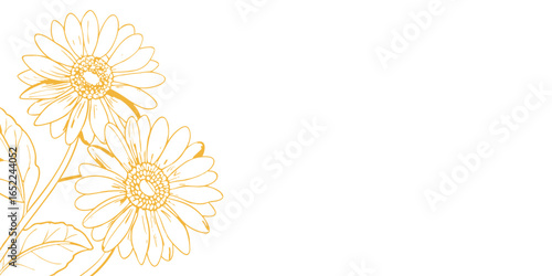 Gold Flower hand-drawn on a white background vector.  Luxury illustration for decoration, wall decor, wallpaper, cover, banner, package, card