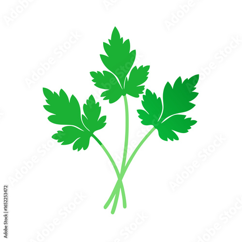 parsley isolated on white background