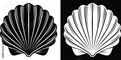Elegant seashell pair design on contrasting backgrounds for coastal decor and summer promotions