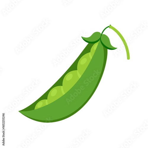 green peas vector illustration