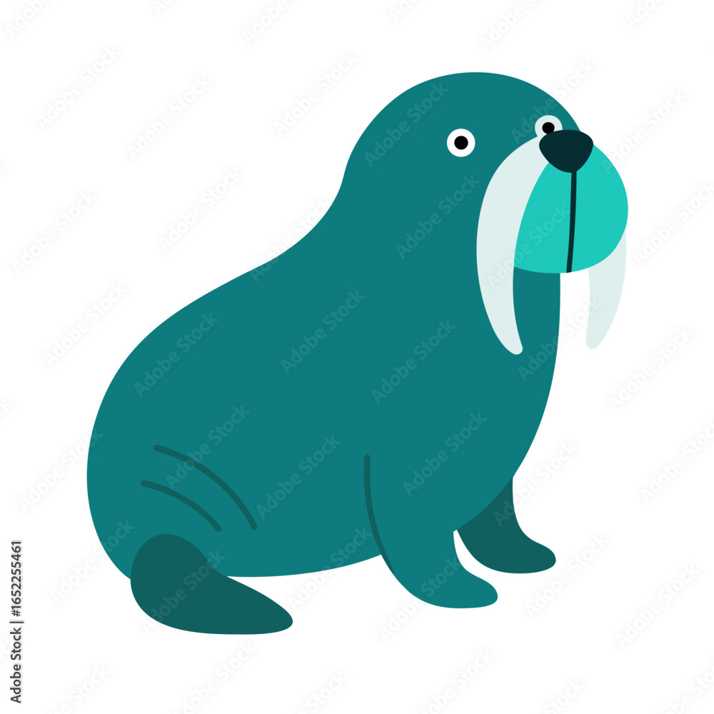 Fototapeta premium a-walrus-on-white-background