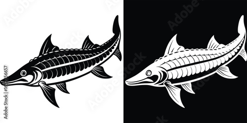Sturgeon fish in black and white, impactful design for logo, emblem, or distinctive branding projects
