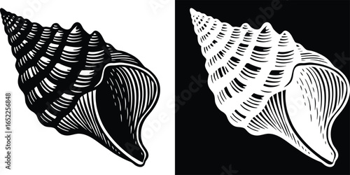 Dramatic black and white seashell art evokes ocean mystery with cool minimalist appeal for coastal designs
