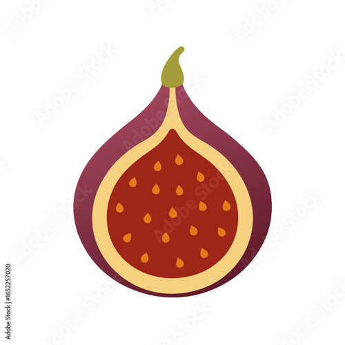 vector illustration of an apple