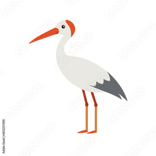 white stork on white background
