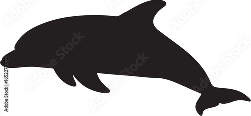 Silhouette of a Dolphin Swimming Gracefully in the Ocean Depths Underwater Marine Life Illustration