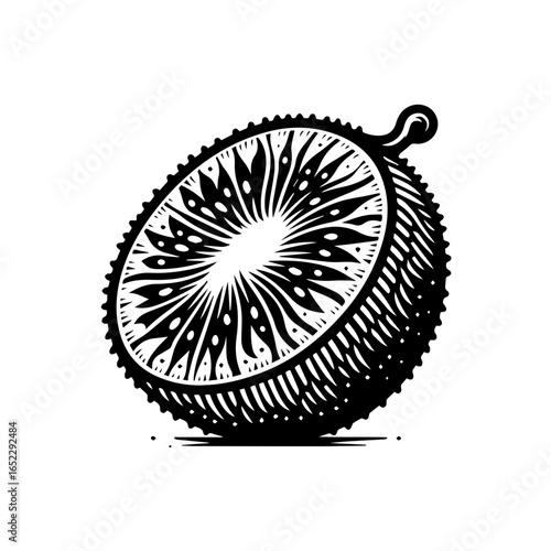 Half of jackfruit isolated on white background in black and white drawing